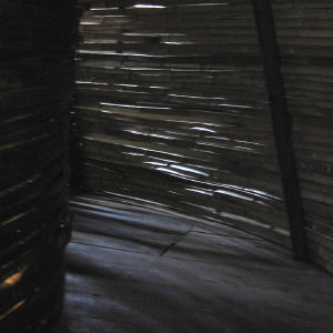 2006<br />竹環プロジェクト – 生きている家 –